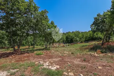 Bauland 1.498 m², Svetvinčenat - ruhige Umgebung