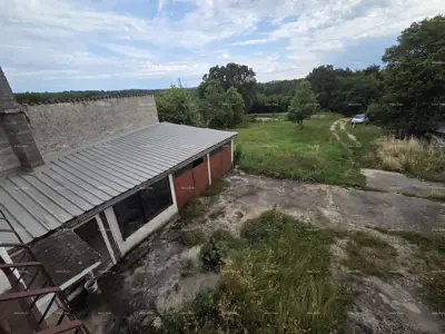 Stone house 160 m², Brtonigla - yard 300 m² - 21