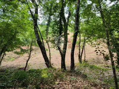 Building plot, Barban - peaceful location in nature - 2