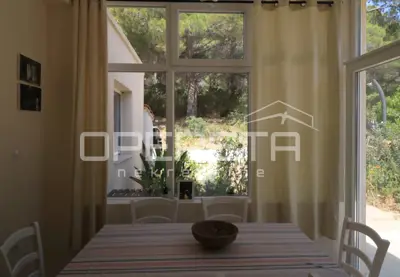 Vila, Rukavac na otoku Visu, privatni bazen i vrt - 19
