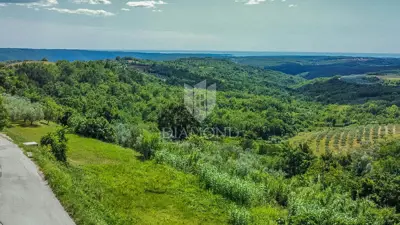 Land plot for sale in Krasica - 2