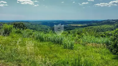 Land plot for sale in Krasica - 5