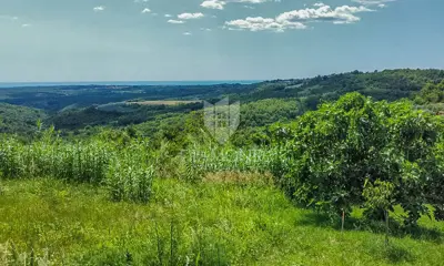 Land plot for sale in Krasica - 9