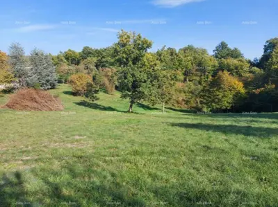 Building land 3 000 m², Stari Pazin, access road - 4