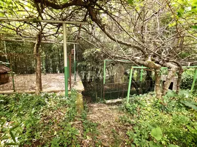 House in Lovran, sea view and fenced yard - 13