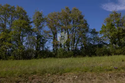 Building plot 1,252 m², Žminj - quiet village near the center - 3
