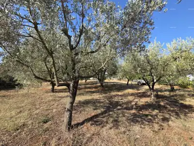 Građevinsko zemljište 1.222 m², Loborika - mirna lokacija