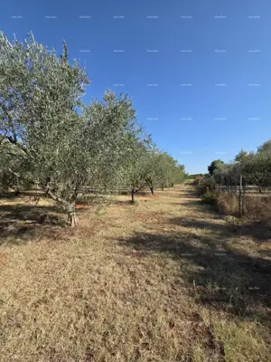 Građevinsko zemljište 1.222 m², Loborika - mirna lokacija - 2