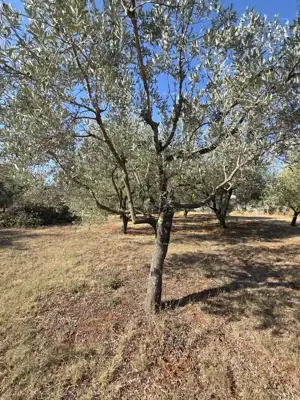 Građevinsko zemljište 1.222 m², Loborika - mirna lokacija - 5