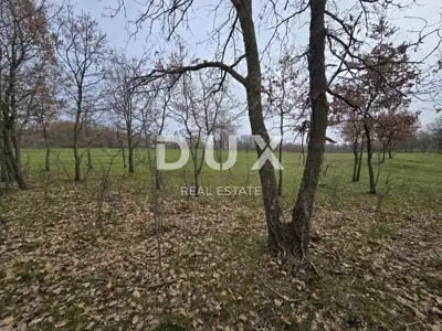 Landwirtschaftsfläche, Labin - 1 ha, neben der Bauzone - 12