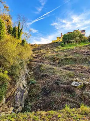 House 200 m², Motovun - quiet location and view of nature - 11