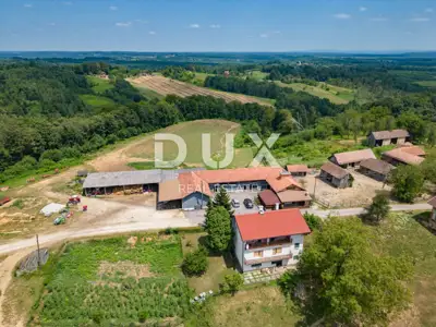 Estate, Blatuša - farm with machinery and animals - 7