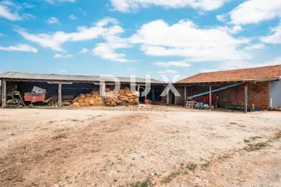 Estate, Blatuša - farm with machinery and animals - 12