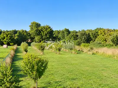 Baugrundstück, Loborika - 3 Grundstücke und eigener Zufahrtsweg - 2