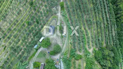 Estate, Motovun - 170,000 m², view of Motovun and Učka - 8