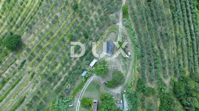 Estate, Motovun - 170,000 m², view of Motovun and Učka - 6