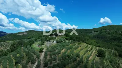 Estate, Motovun - 170,000 m², view of Motovun and Učka - 3