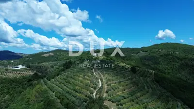 Estate, Motovun - 170,000 m², view of Motovun and Učka - 2