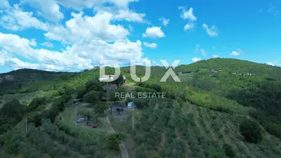 Estate, Motovun - 170,000 m², view of Motovun and Učka - 13