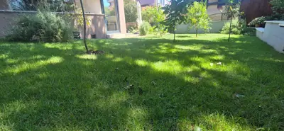 EKSKLUZIVNO! Nova moderna dvojna kuća, Štinjan, Istra - 3