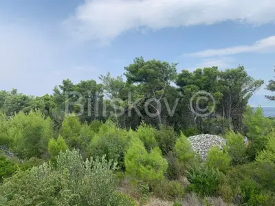 Landwirtschaftsfläche 13 818 m², Mirca, Meerblick - 5