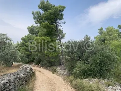 Poljoprivredno zemljište 13 818 m², Mirca, pogled na more - 3