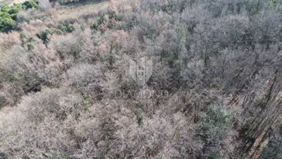 Grundstück, Barban - Wald neben der Urbanisierungszone - 4