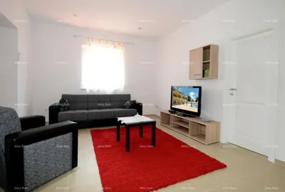 Haus 500 m², Rafaeli bei Višnjan, ruhige Lage - 16