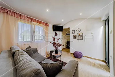 Poljoprivredno zemljište, 14 406 m², Vela Luka - masline i smokve - 22