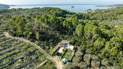 Poljoprivredno zemljište, 14 406 m², Vela Luka - masline i smokve - 3