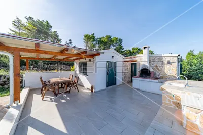 Poljoprivredno zemljište, 14 406 m², Vela Luka - masline i smokve - 2