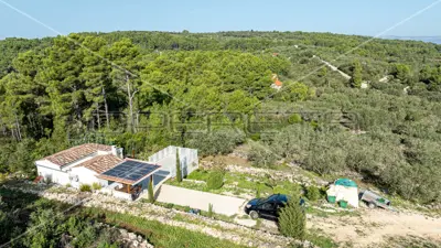 Poljoprivredno zemljište, 14 406 m², Vela Luka - masline i smokve - 4