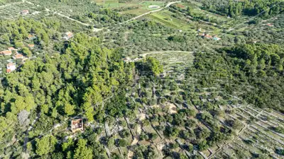 Poljoprivredno zemljište, 14 406 m², Vela Luka - masline i smokve - 20