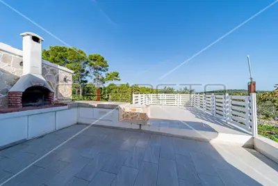 Poljoprivredno zemljište, 14 406 m², Vela Luka - masline i smokve - 6