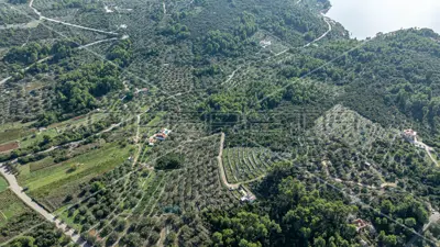 Poljoprivredno zemljište, 14 406 m², Vela Luka - masline i smokve - 19