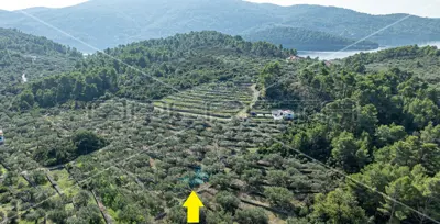 Poljoprivredno zemljište, 14 406 m², Vela Luka - masline i smokve - 10