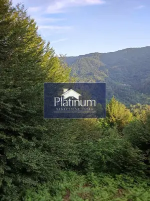 House 187 m², Gerovo - mountain and greenery views - 14