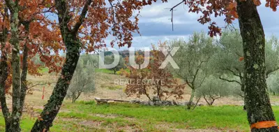 ISTRA, BUJE - Građevinsko zemljište na savršenoj lokaciji s pogledom n - 18