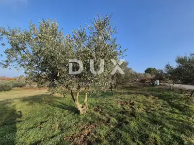 ISTRA, BUJE - Građevinsko zemljište na savršenoj lokaciji s pogledom n - 12