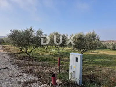 ISTRA, BUJE - Građevinsko zemljište na savršenoj lokaciji s pogledom n - 6