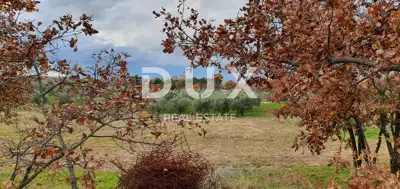 ISTRA, BUJE - Građevinsko zemljište na savršenoj lokaciji s pogledom n - 17