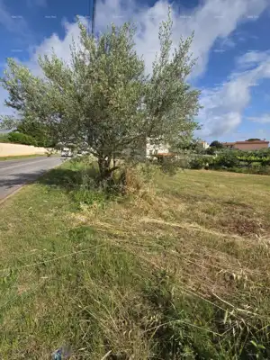 Baugrundstück 1.412 m², Šegotići - ruhige Siedlung - 5