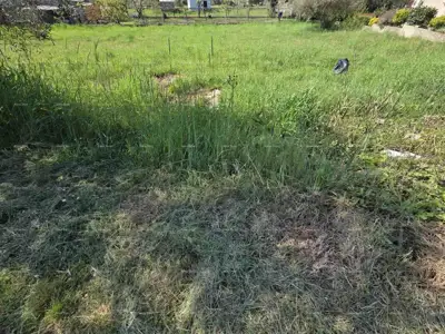 Građevinsko zemljište 1.412 m², Šegotići - mirno naselje