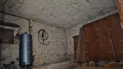 ŽMINJ (okolice) - odlična kamena kuća s dvorištem - 13