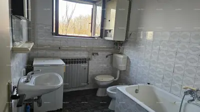 ŽMINJ (okolice) - odlična kamena kuća s dvorištem - 8