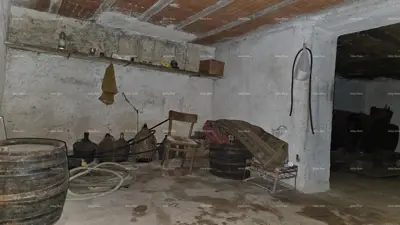 ŽMINJ (okolice) - odlična kamena kuća s dvorištem - 14