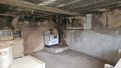 ŽMINJ (okolice) - odlična kamena kuća s dvorištem - 16