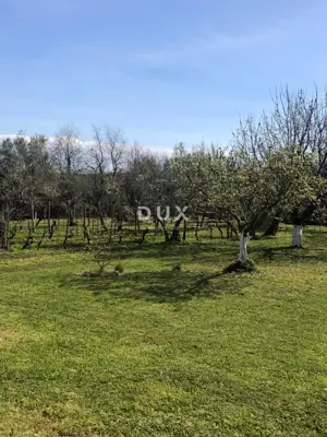 Istra, Brtonigla, Haus, 181 m², 2.461 m² Gartenfläche - 18
