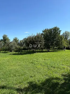 Istra, Brtonigla, Haus, 181 m², 2.461 m² Gartenfläche - 19