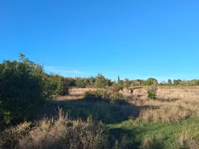 Agricultural land 13,861 m², Vidulini - near the sea - 5